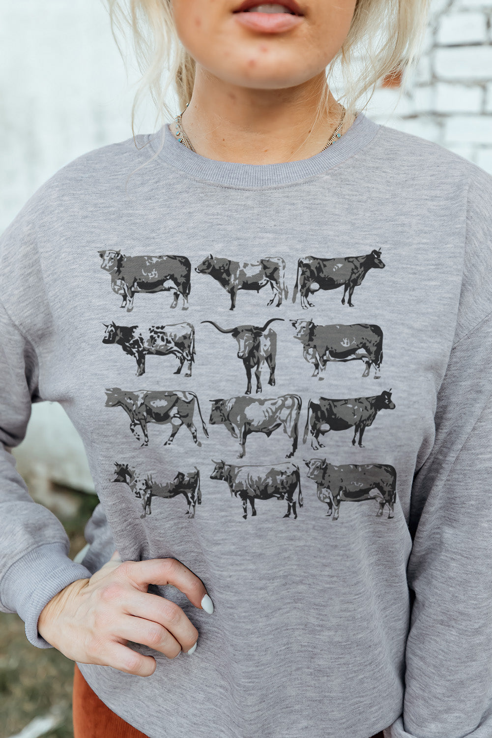 Sudadera de manga larga con estampado de toros gris